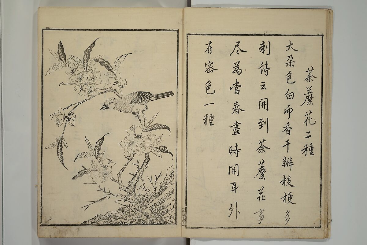 Primer on Eight Varieties of Painting (Hasshu gafu) 八集画譜, Unidentified Artists, Japanese, Set of five woodblock printed books; ink on paper, Japan