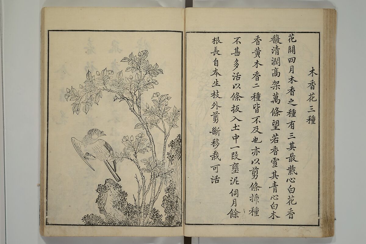 Primer on Eight Varieties of Painting (Hasshu gafu) 八集画譜, Unidentified Artists, Japanese, Set of five woodblock printed books; ink on paper, Japan