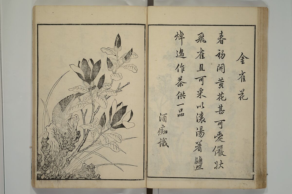 Primer on Eight Varieties of Painting (Hasshu gafu) 八集画譜, Unidentified Artists, Japanese, Set of five woodblock printed books; ink on paper, Japan