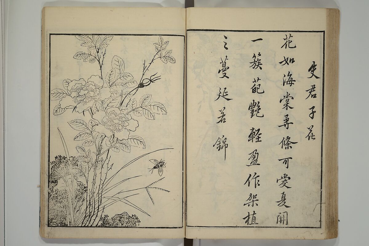 Primer on Eight Varieties of Painting (Hasshu gafu) 八集画譜, Unidentified Artists, Japanese, Set of five woodblock printed books; ink on paper, Japan