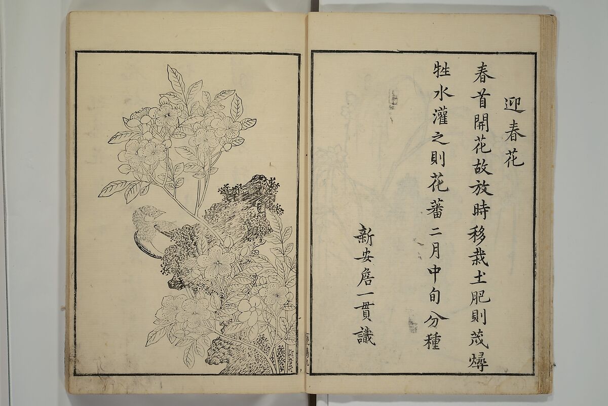 Primer on Eight Varieties of Painting (Hasshu gafu) 八集画譜, Unidentified Artists, Japanese, Set of five woodblock printed books; ink on paper, Japan