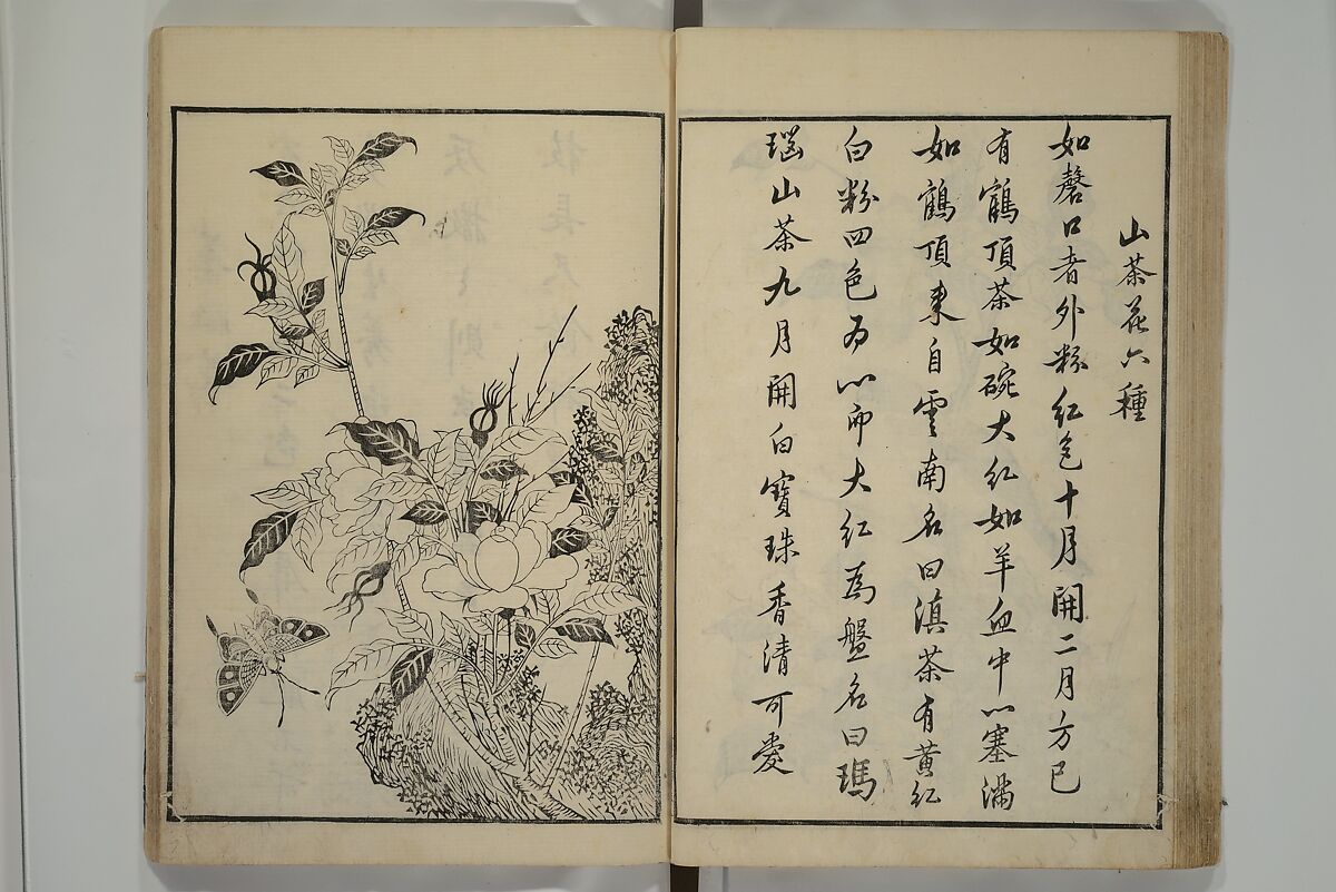 Primer on Eight Varieties of Painting (Hasshu gafu) 八集画譜, Unidentified Artists, Japanese, Set of five woodblock printed books; ink on paper, Japan