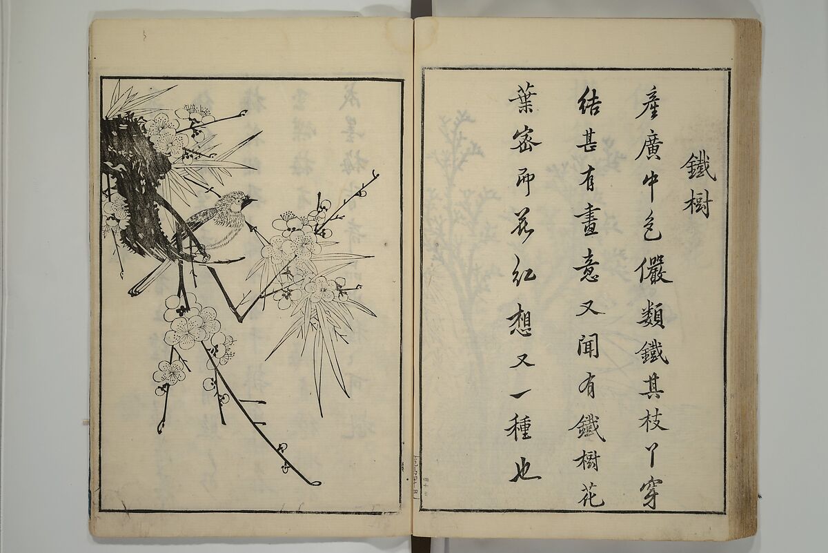 Primer on Eight Varieties of Painting (Hasshu gafu) 八集画譜, Unidentified Artists, Japanese, Set of five woodblock printed books; ink on paper, Japan