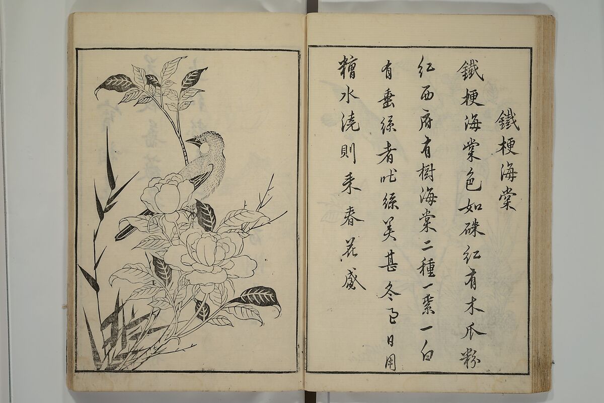 Primer on Eight Varieties of Painting (Hasshu gafu) 八集画譜, Unidentified Artists, Japanese, Set of five woodblock printed books; ink on paper, Japan
