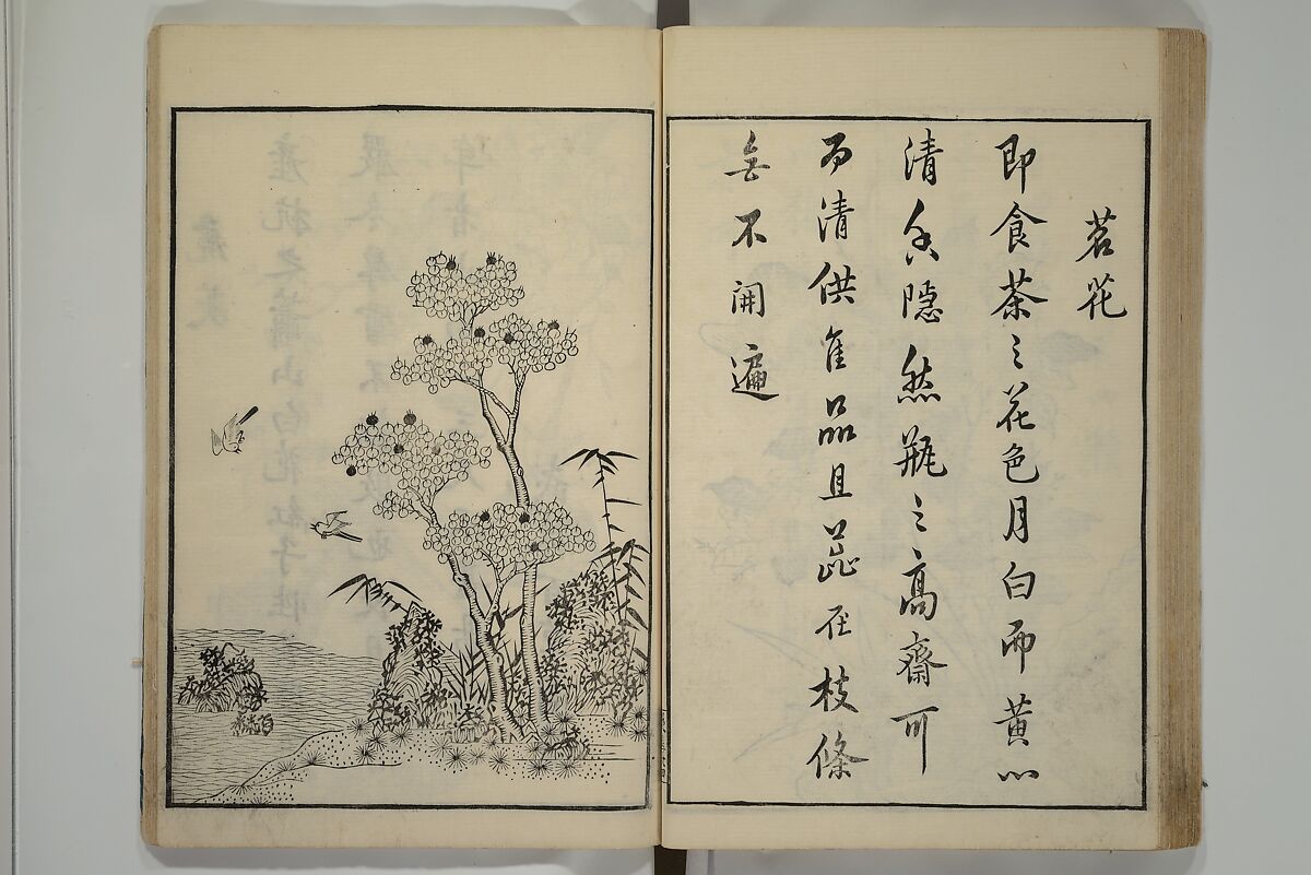 Primer on Eight Varieties of Painting (Hasshu gafu) 八集画譜, Unidentified Artists, Japanese, Set of five woodblock printed books; ink on paper, Japan