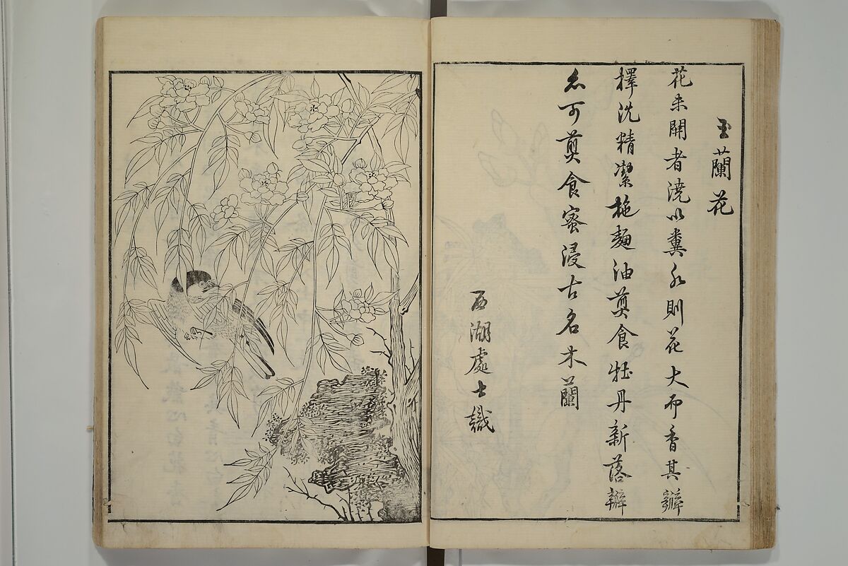 Primer on Eight Varieties of Painting (Hasshu gafu) 八集画譜, Unidentified Artists, Japanese, Set of five woodblock printed books; ink on paper, Japan