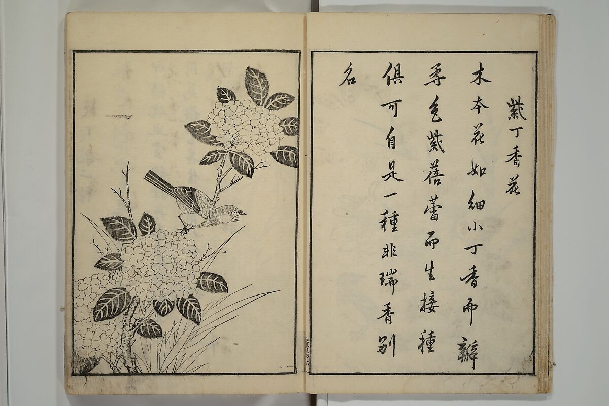 Primer on Eight Varieties of Painting (Hasshu gafu) 八集画譜, Unidentified Artists, Japanese, Set of five woodblock printed books; ink on paper, Japan