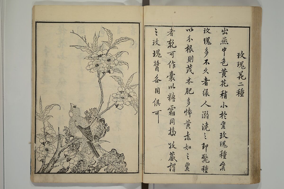 Primer on Eight Varieties of Painting (Hasshu gafu) 八集画譜, Unidentified Artists, Japanese, Set of five woodblock printed books; ink on paper, Japan