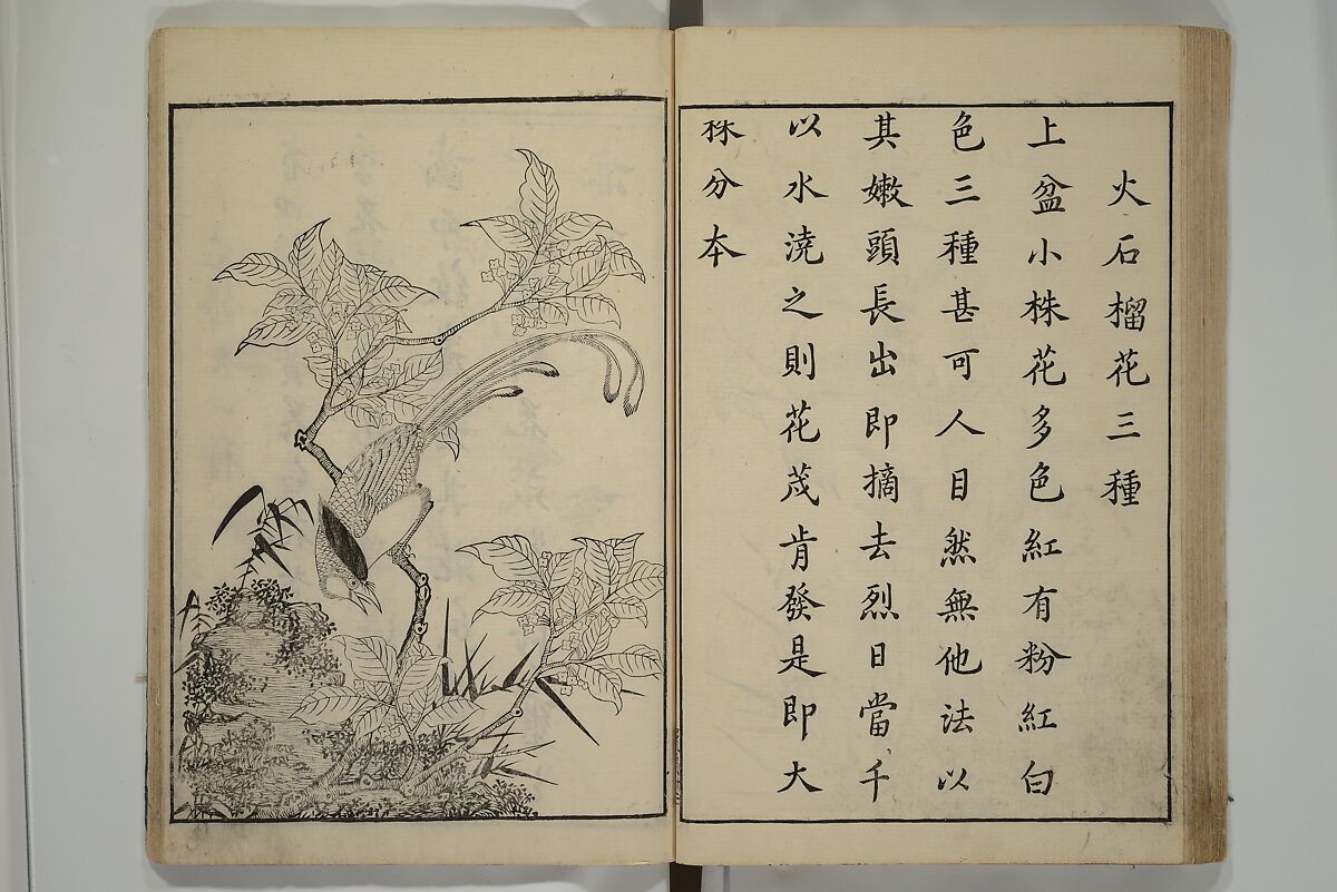 Primer on Eight Varieties of Painting (Hasshu gafu) 八集画譜, Unidentified Artists, Japanese, Set of five woodblock printed books; ink on paper, Japan