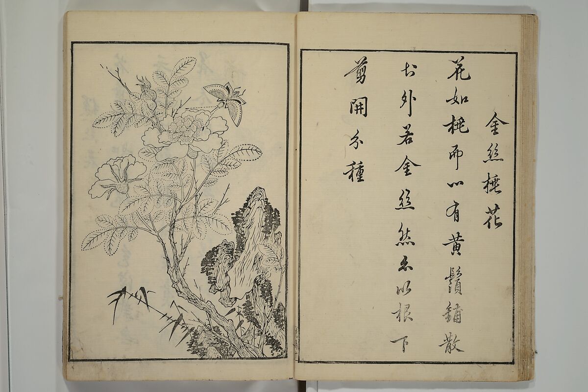Primer on Eight Varieties of Painting (Hasshu gafu) 八集画譜, Unidentified Artists, Japanese, Set of five woodblock printed books; ink on paper, Japan