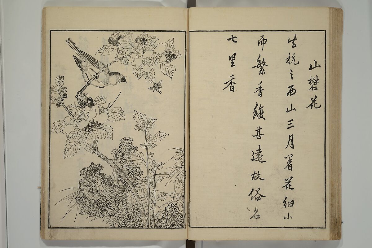 Primer on Eight Varieties of Painting (Hasshu gafu) 八集画譜, Unidentified Artists, Japanese, Set of five woodblock printed books; ink on paper, Japan