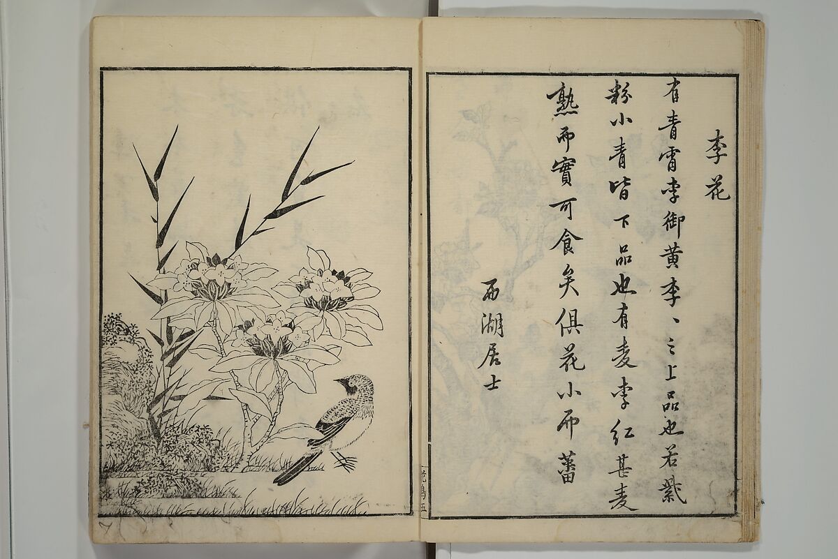 Primer on Eight Varieties of Painting (Hasshu gafu) 八集画譜, Unidentified Artists, Japanese, Set of five woodblock printed books; ink on paper, Japan