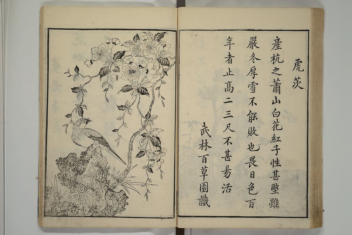 Primer on Eight Varieties of Painting (Hasshu gafu) 八集画譜, Unidentified Artists, Japanese, Set of five woodblock printed books; ink on paper, Japan