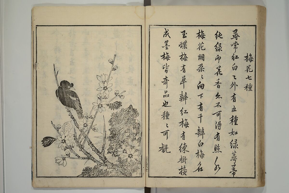 Primer on Eight Varieties of Painting (Hasshu gafu) 八集画譜, Unidentified Artists, Japanese, Set of five woodblock printed books; ink on paper, Japan
