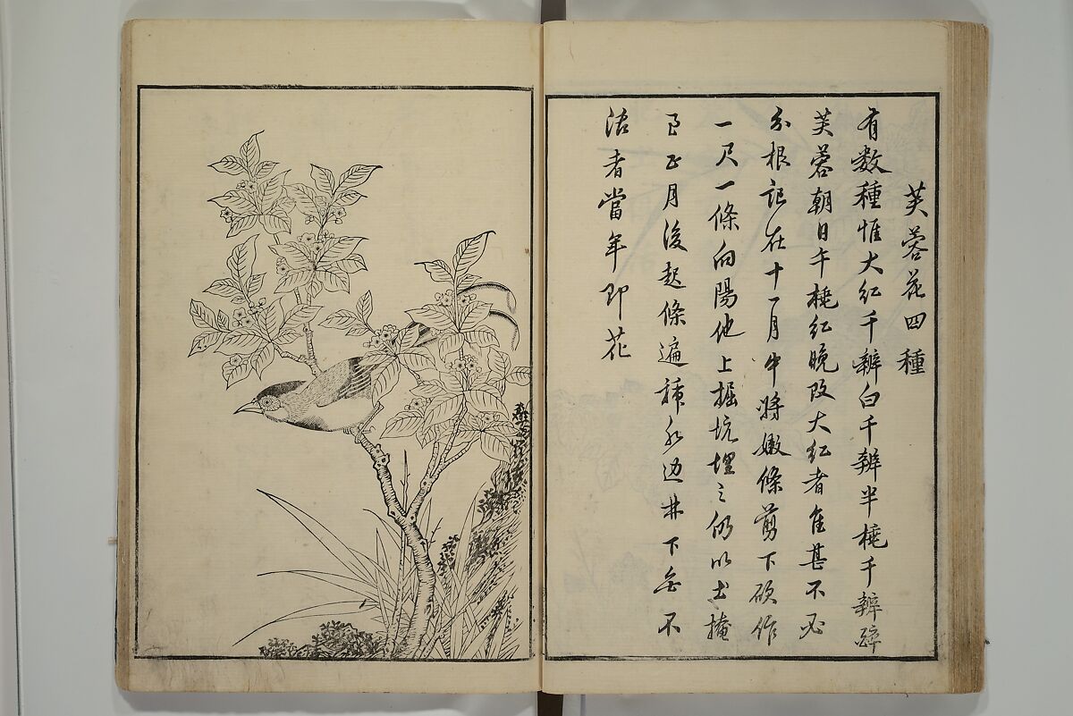 Primer on Eight Varieties of Painting (Hasshu gafu) 八集画譜, Unidentified Artists, Japanese, Set of five woodblock printed books; ink on paper, Japan
