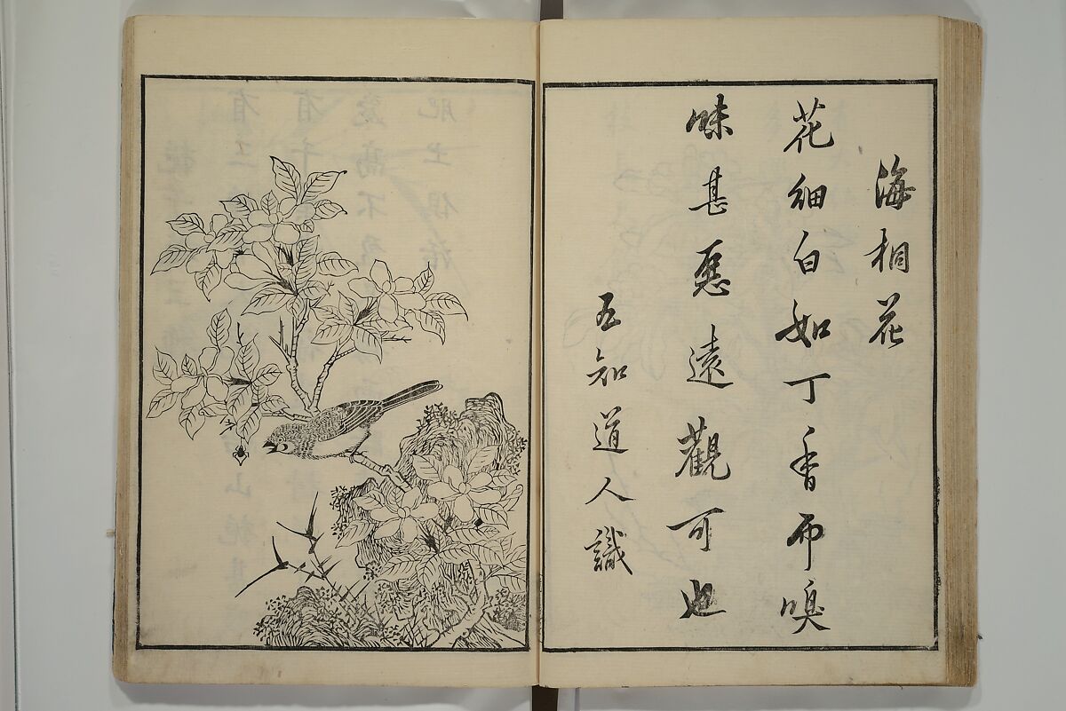Primer on Eight Varieties of Painting (Hasshu gafu) 八集画譜, Unidentified Artists, Japanese, Set of five woodblock printed books; ink on paper, Japan