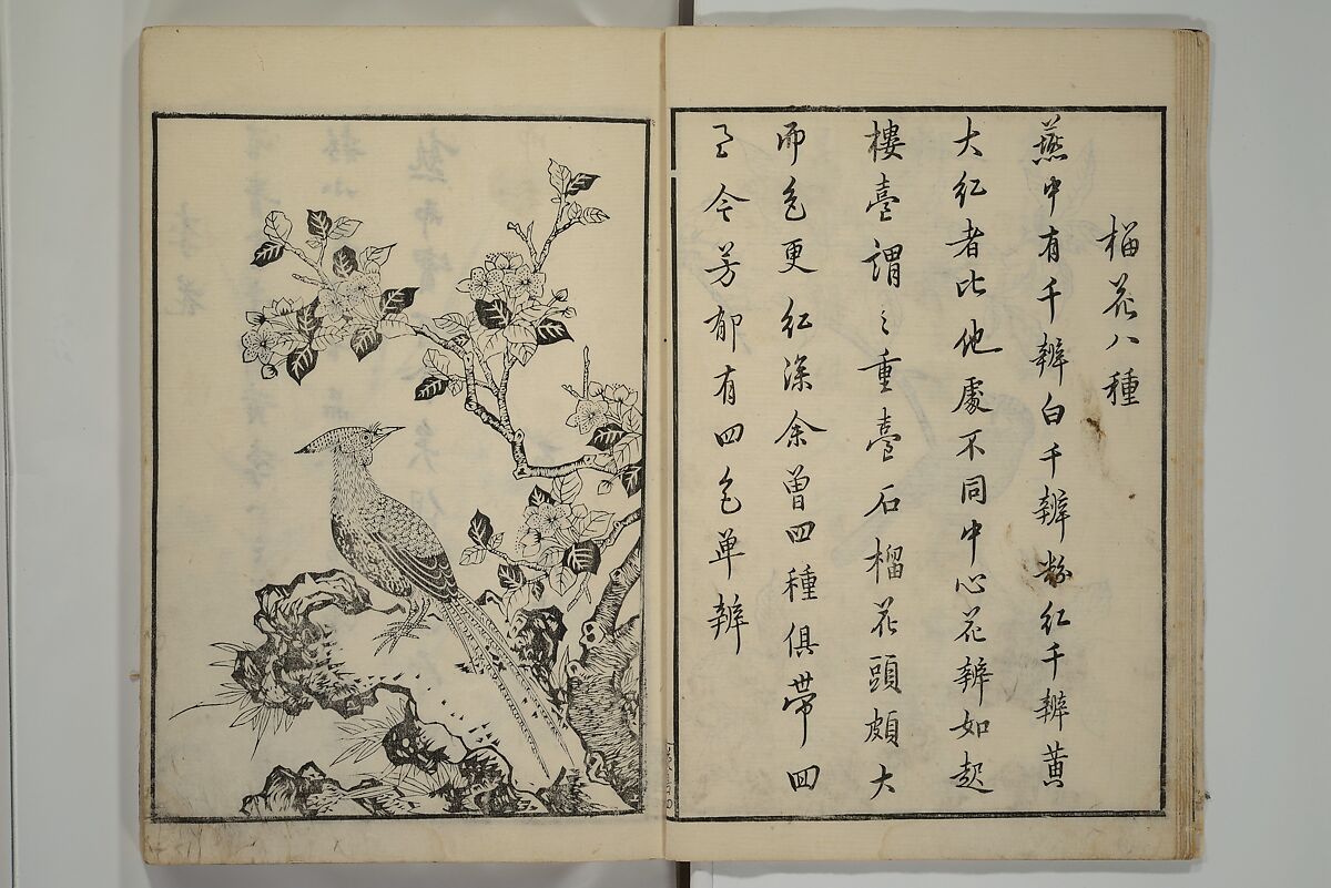 Primer on Eight Varieties of Painting (Hasshu gafu) 八集画譜, Unidentified Artists, Japanese, Set of five woodblock printed books; ink on paper, Japan