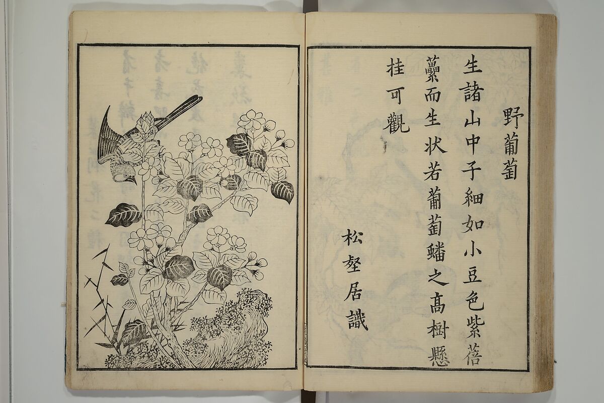 Primer on Eight Varieties of Painting (Hasshu gafu) 八集画譜, Unidentified Artists, Japanese, Set of five woodblock printed books; ink on paper, Japan