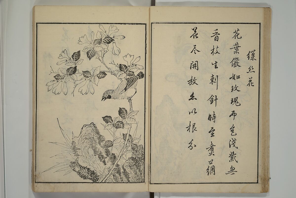Primer on Eight Varieties of Painting (Hasshu gafu) 八集画譜, Unidentified Artists, Japanese, Set of five woodblock printed books; ink on paper, Japan