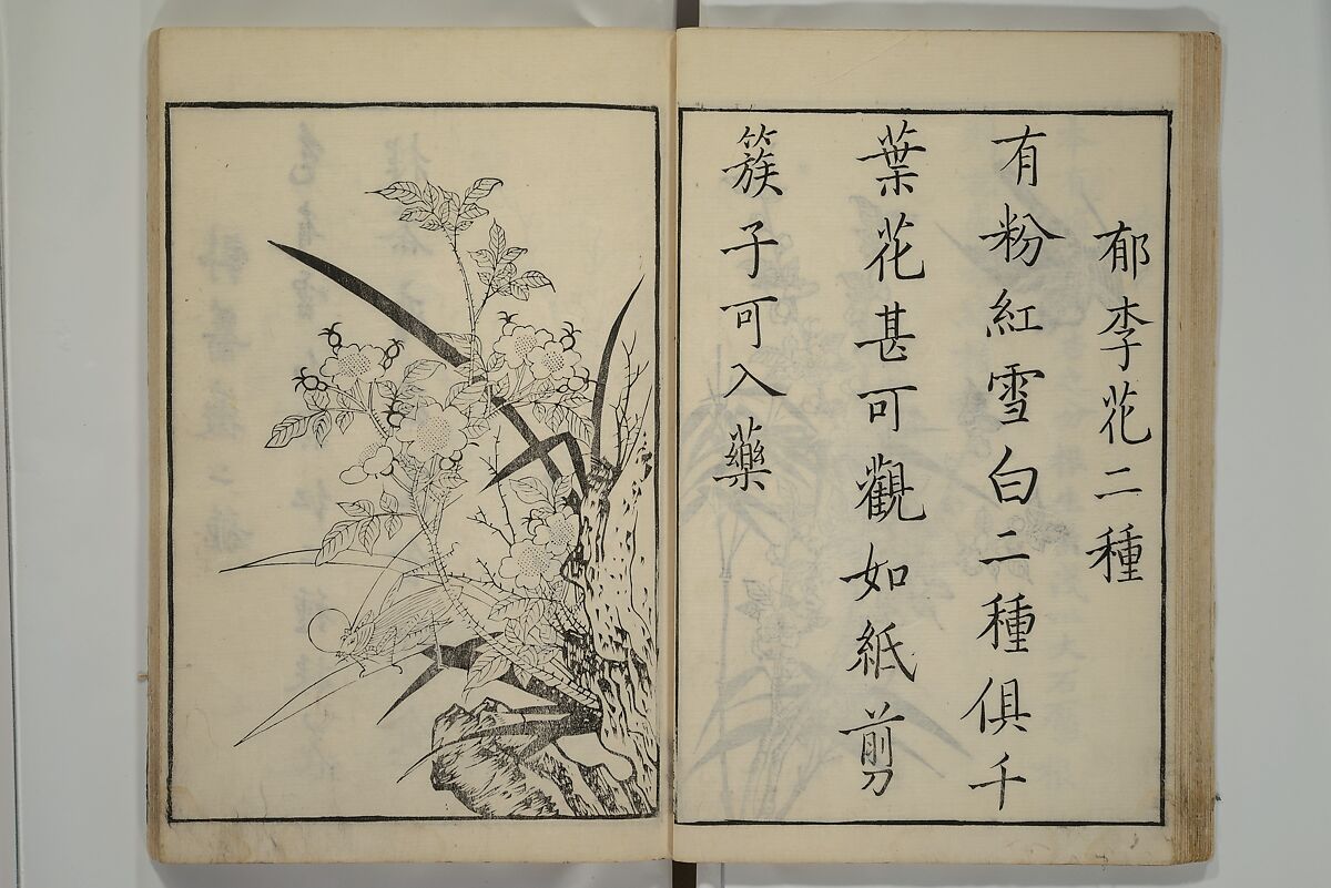 Primer on Eight Varieties of Painting (Hasshu gafu) 八集画譜, Unidentified Artists, Japanese, Set of five woodblock printed books; ink on paper, Japan