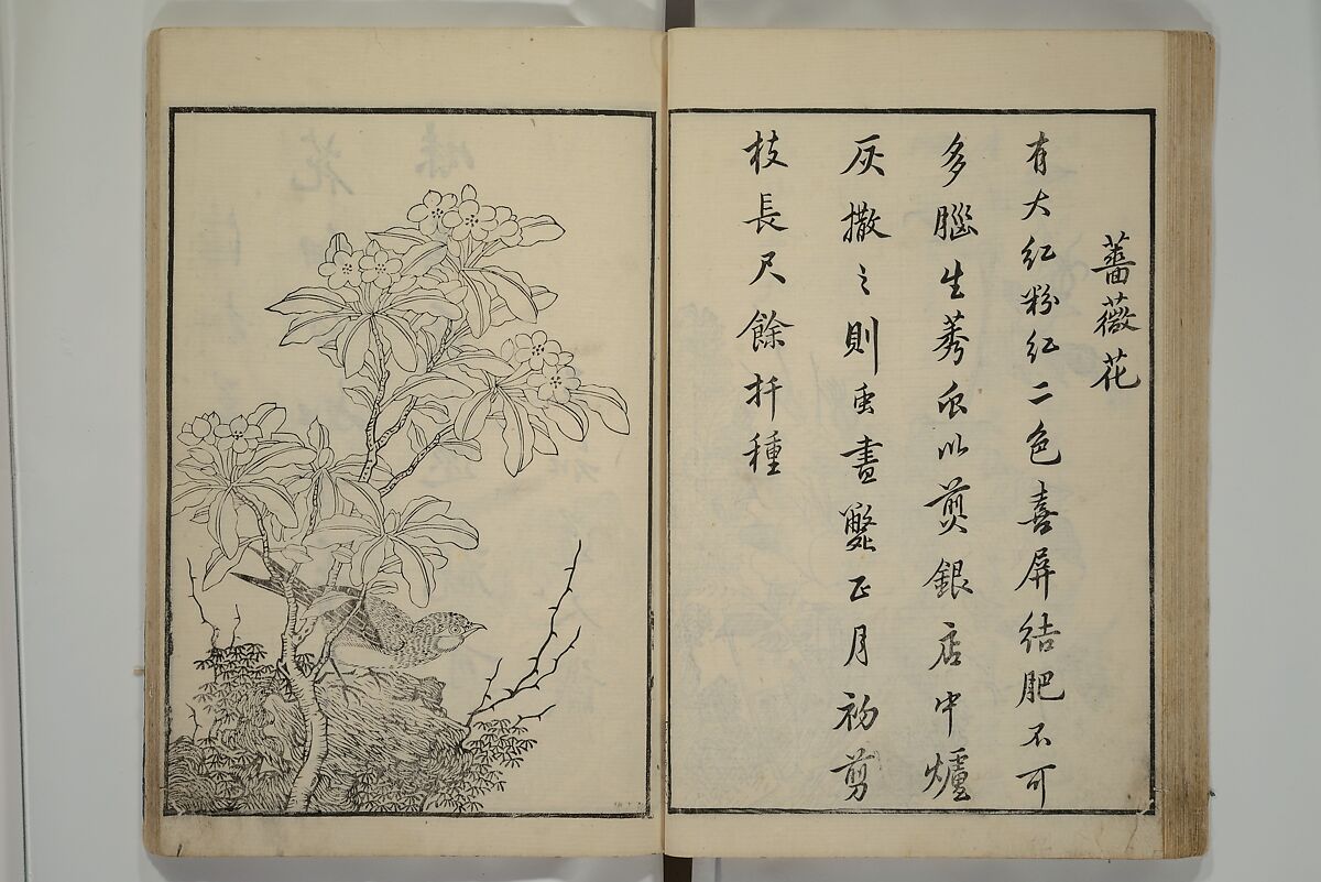 Primer on Eight Varieties of Painting (Hasshu gafu) 八集画譜, Unidentified Artists, Japanese, Set of five woodblock printed books; ink on paper, Japan