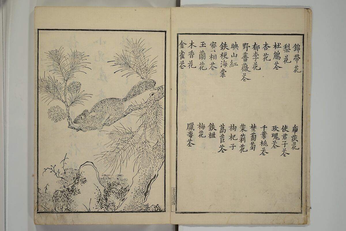 Primer on Eight Varieties of Painting (Hasshu gafu) 八集画譜, Unidentified Artists, Japanese, Set of five woodblock printed books; ink on paper, Japan