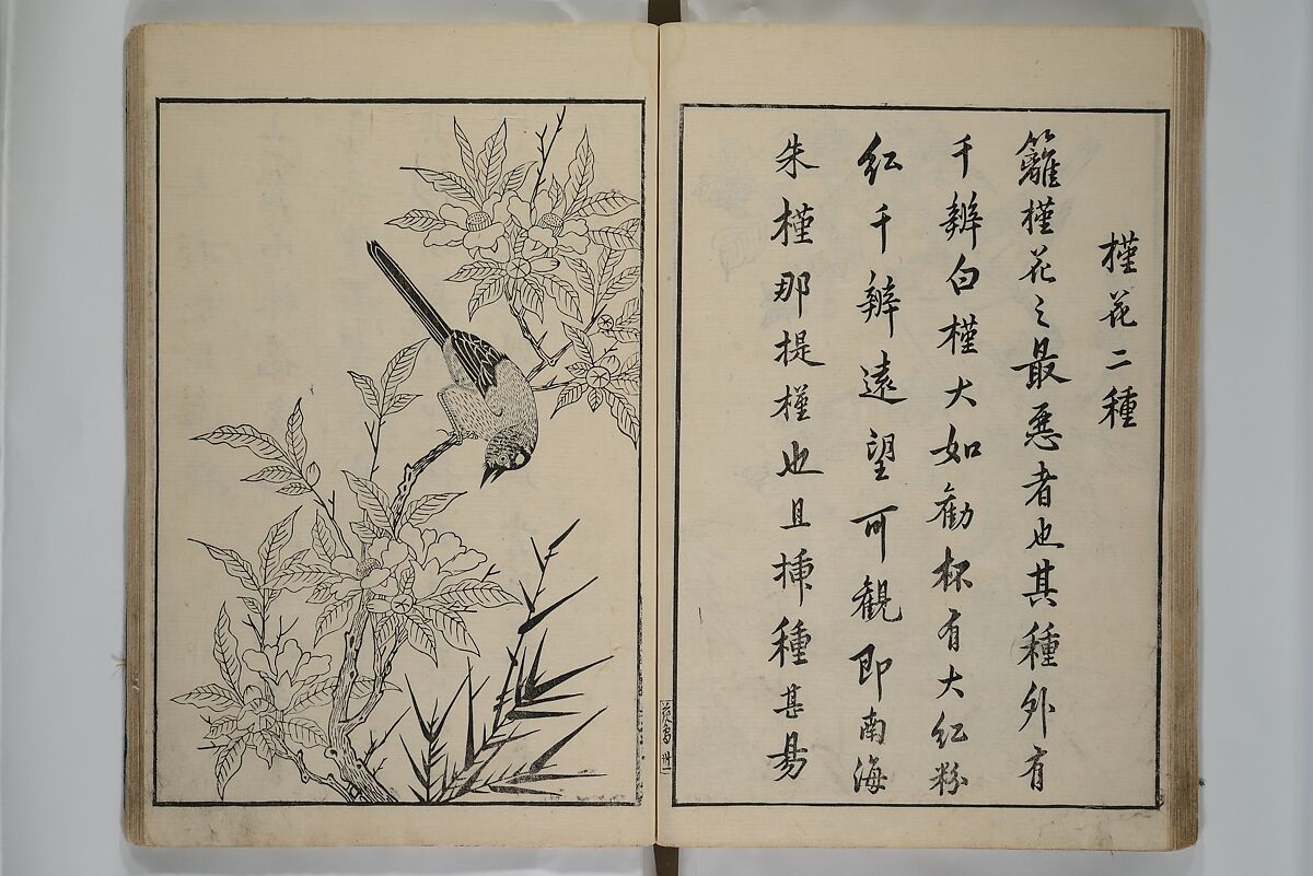 Primer on Eight Varieties of Painting (Hasshu gafu) 八集画譜, Unidentified Artists, Japanese, Set of five woodblock printed books; ink on paper, Japan