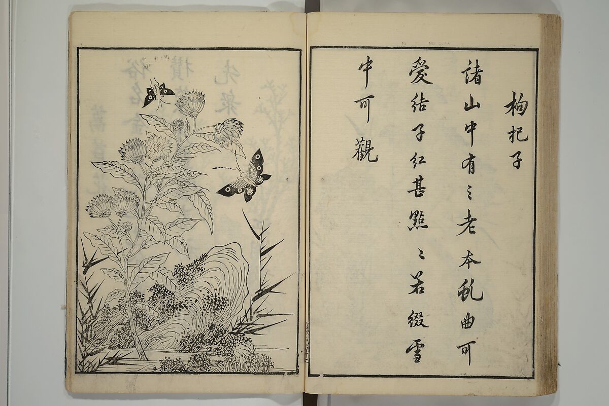 Primer on Eight Varieties of Painting (Hasshu gafu) 八集画譜, Unidentified Artists, Japanese, Set of five woodblock printed books; ink on paper, Japan