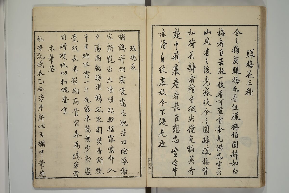 Primer on Eight Varieties of Painting (Hasshu gafu) 八集画譜, Unidentified Artists, Japanese, Set of five woodblock printed books; ink on paper, Japan