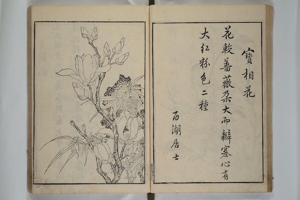 Primer on Eight Varieties of Painting (Hasshu gafu) 八集画譜, Unidentified Artists, Japanese, Set of five woodblock printed books; ink on paper, Japan