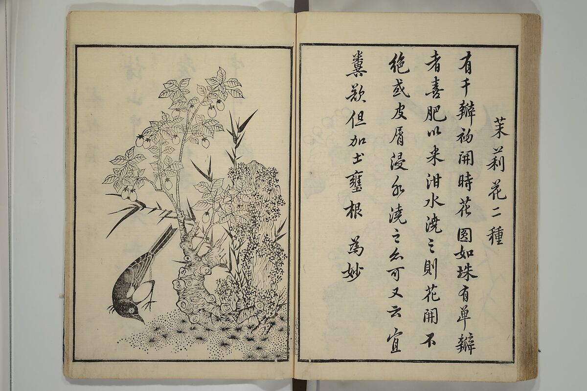 Primer on Eight Varieties of Painting (Hasshu gafu) 八集画譜, Unidentified Artists, Japanese, Set of five woodblock printed books; ink on paper, Japan