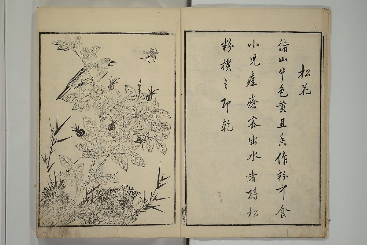 Primer on Eight Varieties of Painting (Hasshu gafu) 八集画譜, Unidentified Artists, Japanese, Set of five woodblock printed books; ink on paper, Japan