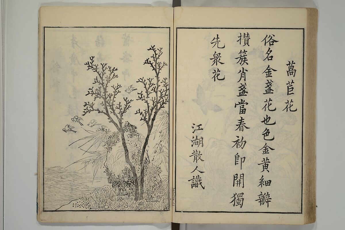 Primer on Eight Varieties of Painting (Hasshu gafu) 八集画譜, Unidentified Artists, Japanese, Set of five woodblock printed books; ink on paper, Japan