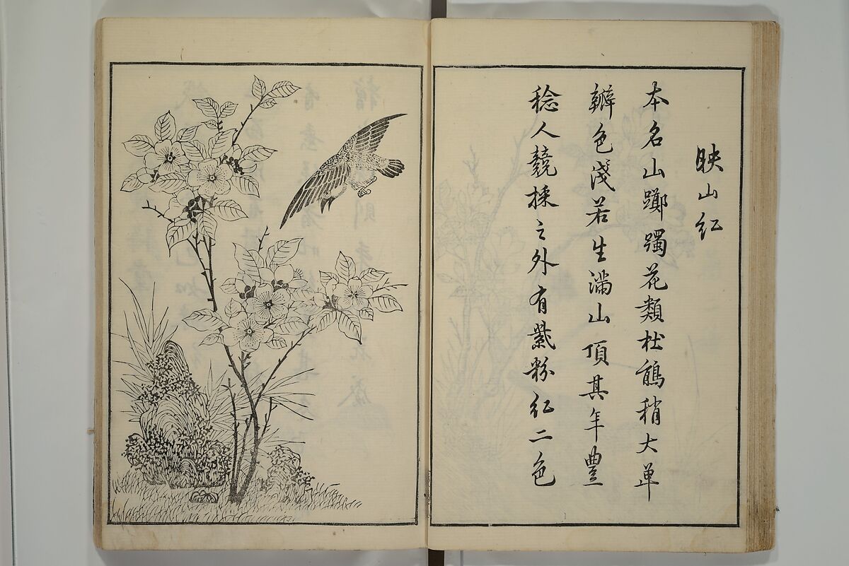 Primer on Eight Varieties of Painting (Hasshu gafu) 八集画譜, Unidentified Artists, Japanese, Set of five woodblock printed books; ink on paper, Japan