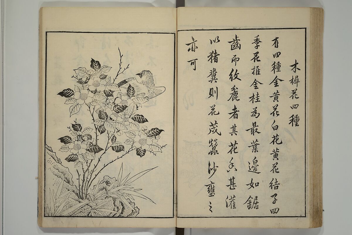 Primer on Eight Varieties of Painting (Hasshu gafu) 八集画譜, Unidentified Artists, Japanese, Set of five woodblock printed books; ink on paper, Japan