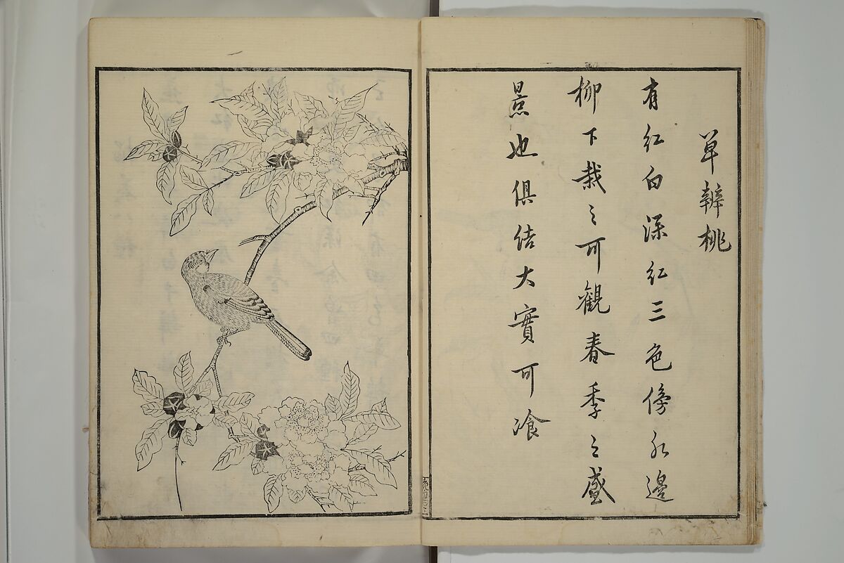 Primer on Eight Varieties of Painting (Hasshu gafu) 八集画譜, Unidentified Artists, Japanese, Set of five woodblock printed books; ink on paper, Japan