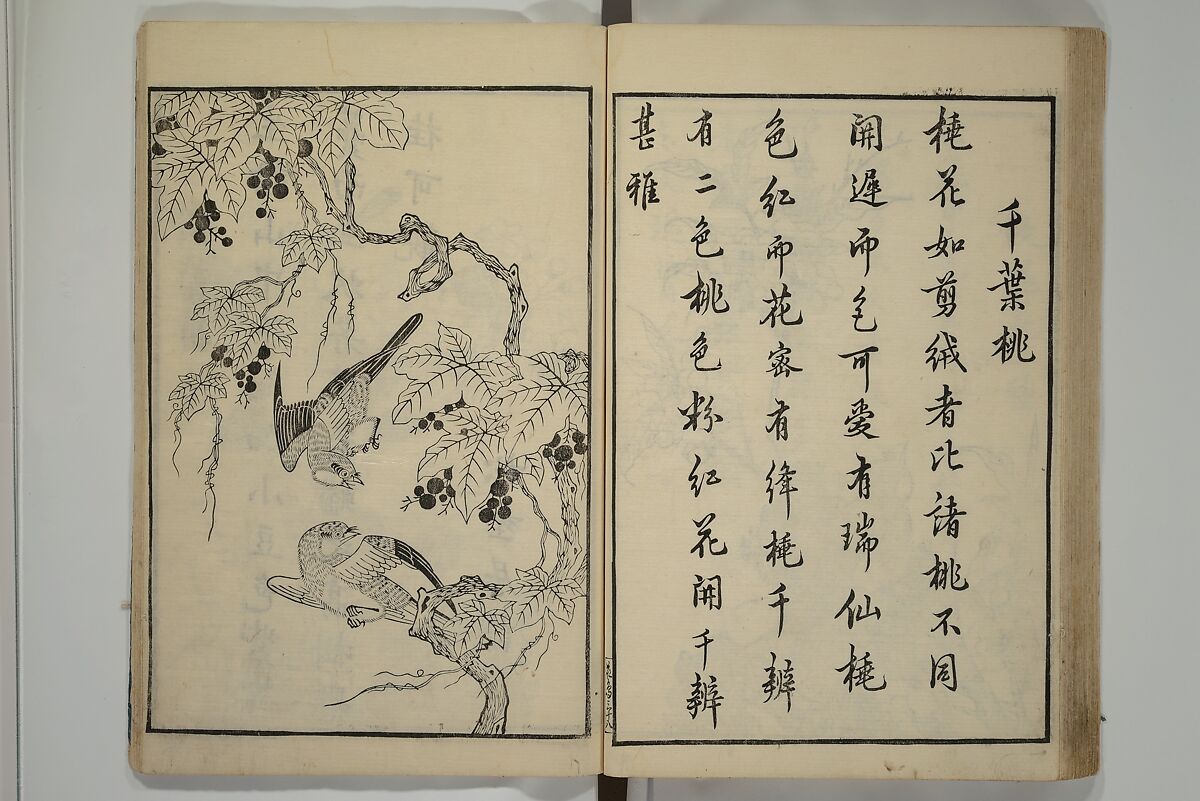Primer on Eight Varieties of Painting (Hasshu gafu) 八集画譜, Unidentified Artists, Japanese, Set of five woodblock printed books; ink on paper, Japan