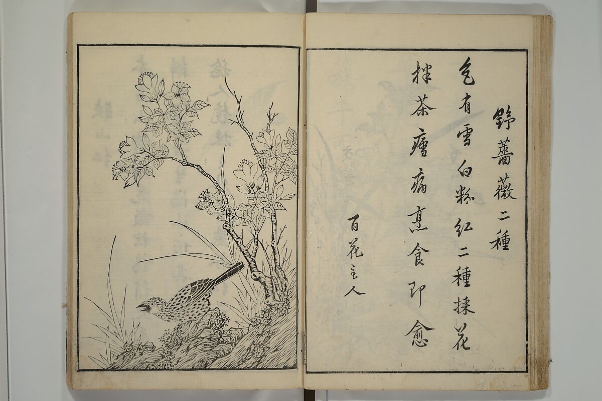 Primer on Eight Varieties of Painting (Hasshu gafu) 八集画譜, Unidentified Artists, Japanese, Set of five woodblock printed books; ink on paper, Japan