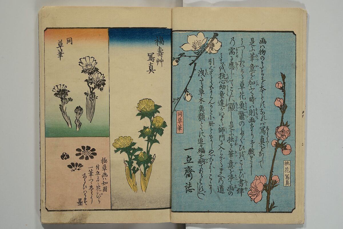 Picture Book for the Practice of Drawing (Ehon tebikigusa) 絵本手引草, Utagawa Hiroshige 歌川広重 (Japanese, Tokyo (Edo) 1797–1858 Tokyo (Edo)), Woodblock printed book; ink and color on paper, Japan