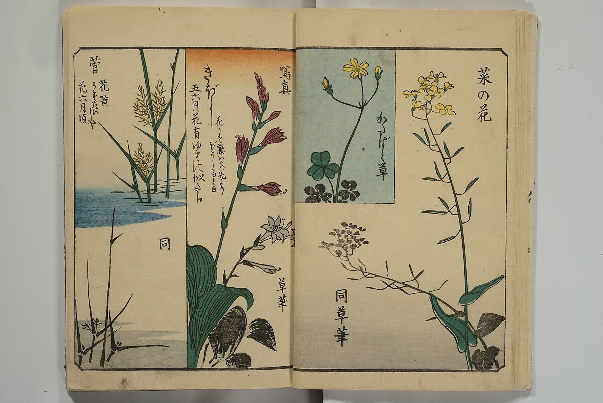 Picture Book for the Practice of Drawing (Ehon tebikigusa) 絵本手引草, Utagawa Hiroshige 歌川広重 (Japanese, Tokyo (Edo) 1797–1858 Tokyo (Edo)), Woodblock printed book; ink and color on paper, Japan