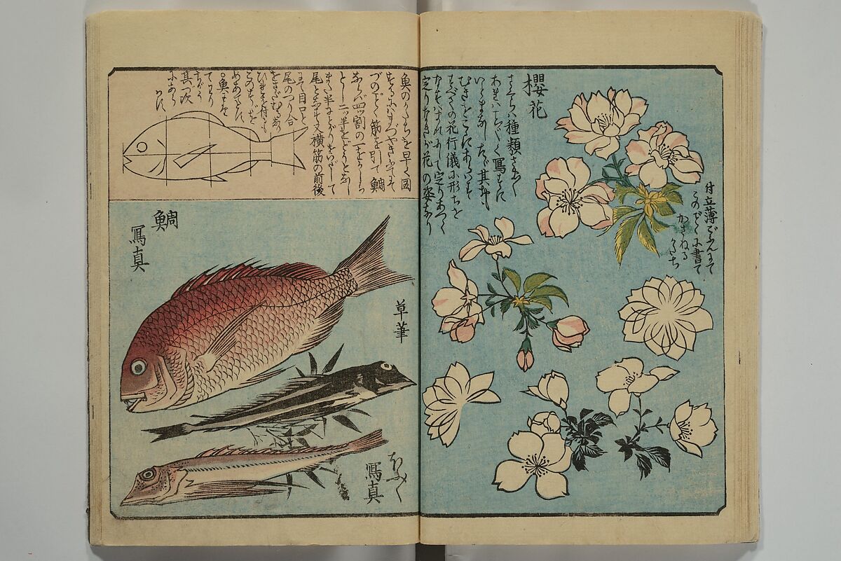 Picture Book for the Practice of Drawing (Ehon tebikigusa) 絵本手引草, Utagawa Hiroshige 歌川広重 (Japanese, Tokyo (Edo) 1797–1858 Tokyo (Edo)), Woodblock printed book; ink and color on paper, Japan
