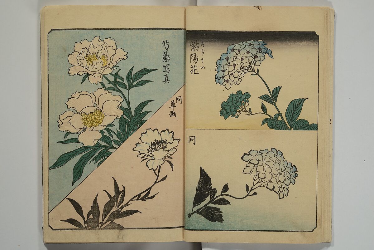 Picture Book for the Practice of Drawing (Ehon tebikigusa) 絵本手引草, Utagawa Hiroshige 歌川広重 (Japanese, Tokyo (Edo) 1797–1858 Tokyo (Edo)), Woodblock printed book; ink and color on paper, Japan
