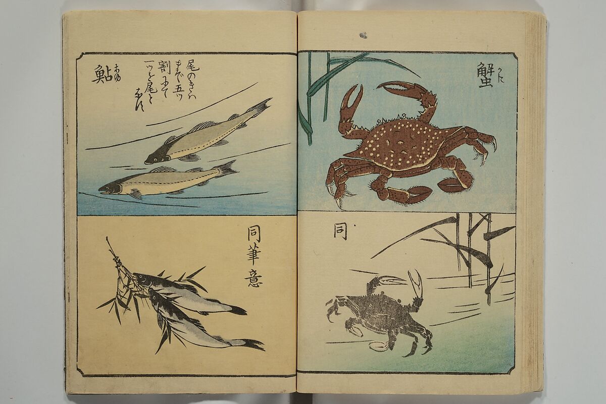 Picture Book for the Practice of Drawing (Ehon tebikigusa) 絵本手引草, Utagawa Hiroshige 歌川広重 (Japanese, Tokyo (Edo) 1797–1858 Tokyo (Edo)), Woodblock printed book; ink and color on paper, Japan