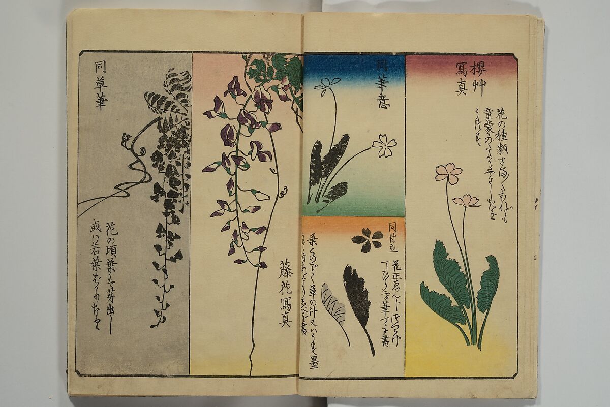 Picture Book for the Practice of Drawing (Ehon tebikigusa) 絵本手引草, Utagawa Hiroshige 歌川広重 (Japanese, Tokyo (Edo) 1797–1858 Tokyo (Edo)), Woodblock printed book; ink and color on paper, Japan
