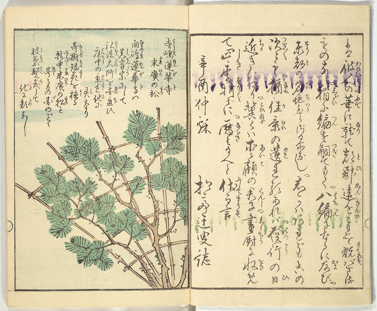Picture Book of the Souvenirs of Edo (Ehon Edo miyage) 絵本江戸土産, Utagawa Hiroshige (Japanese, Tokyo (Edo) 1797–1858 Tokyo (Edo)), Set of ten woodblock printed books; ink and color on paper, Japan