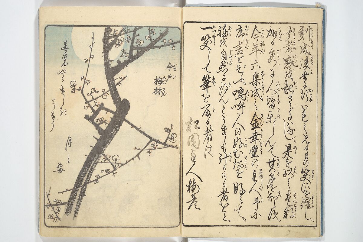 Picture Book of the Souvenirs of Edo (Ehon Edo miyage) 絵本江戸土産, Utagawa Hiroshige (Japanese, Tokyo (Edo) 1797–1858 Tokyo (Edo)), Set of ten woodblock printed books; ink and color on paper, Japan