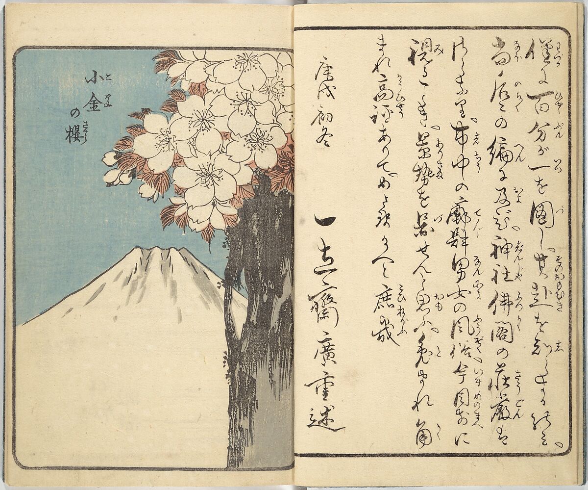 Picture Book of the Souvenirs of Edo (Ehon Edo miyage) 絵本江戸土産, Utagawa Hiroshige (Japanese, Tokyo (Edo) 1797–1858 Tokyo (Edo)), Set of ten woodblock printed books; ink and color on paper, Japan