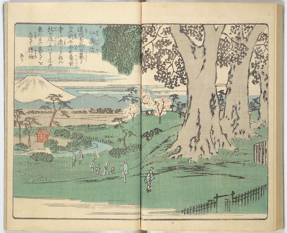 Picture Book of the Souvenirs of Edo (Ehon Edo miyage) 絵本江戸土産, Utagawa Hiroshige (Japanese, Tokyo (Edo) 1797–1858 Tokyo (Edo)), Set of ten woodblock printed books; ink and color on paper, Japan