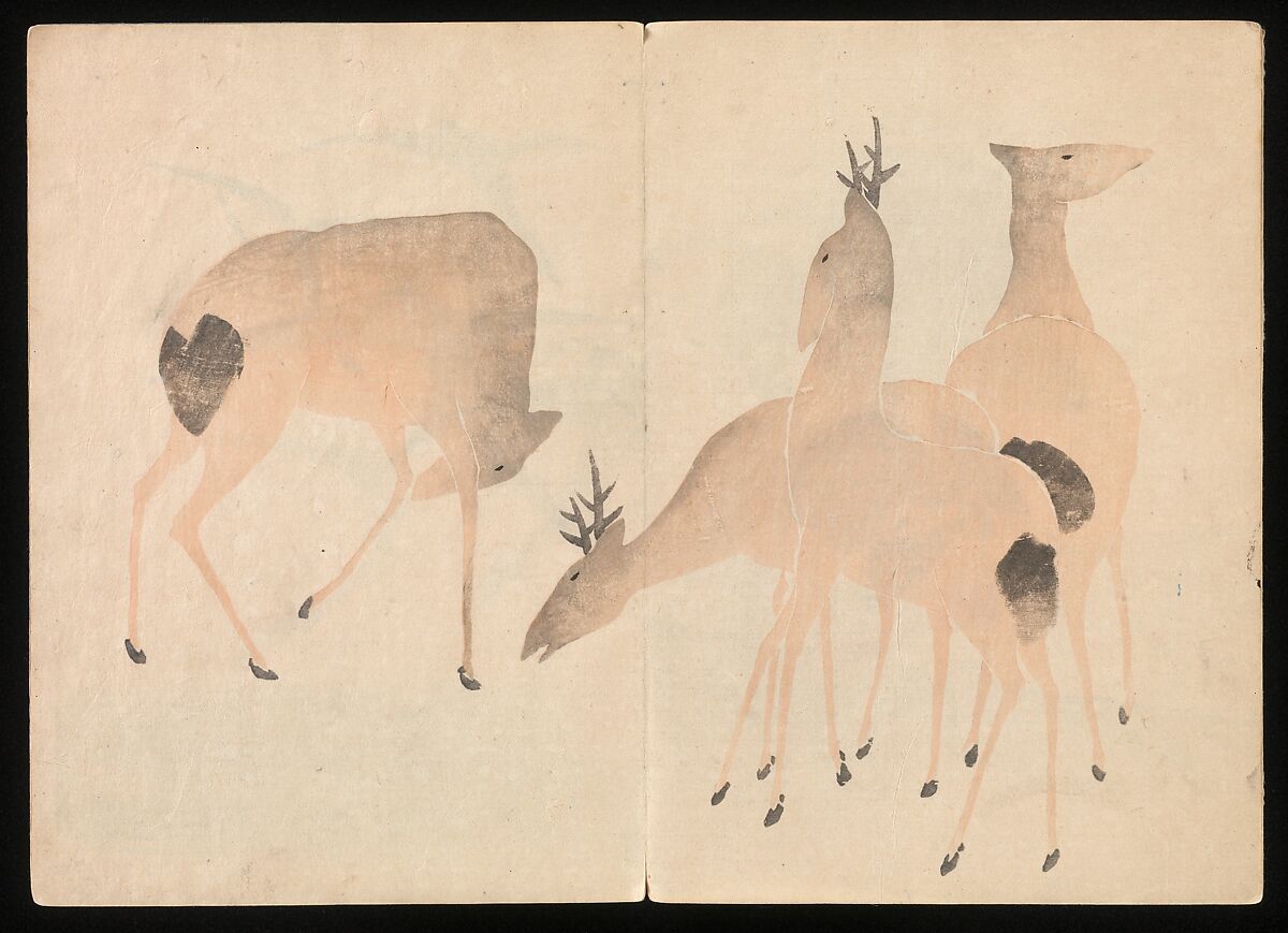 Kōrin Picture Album (Kōrin gafu) 光琳画譜, Nakamura Hōchū 中村芳中 (Japanese, died 1819), Woodblock printed book in two volumes (orihon, accordion-style); ink and color on paper, Japan