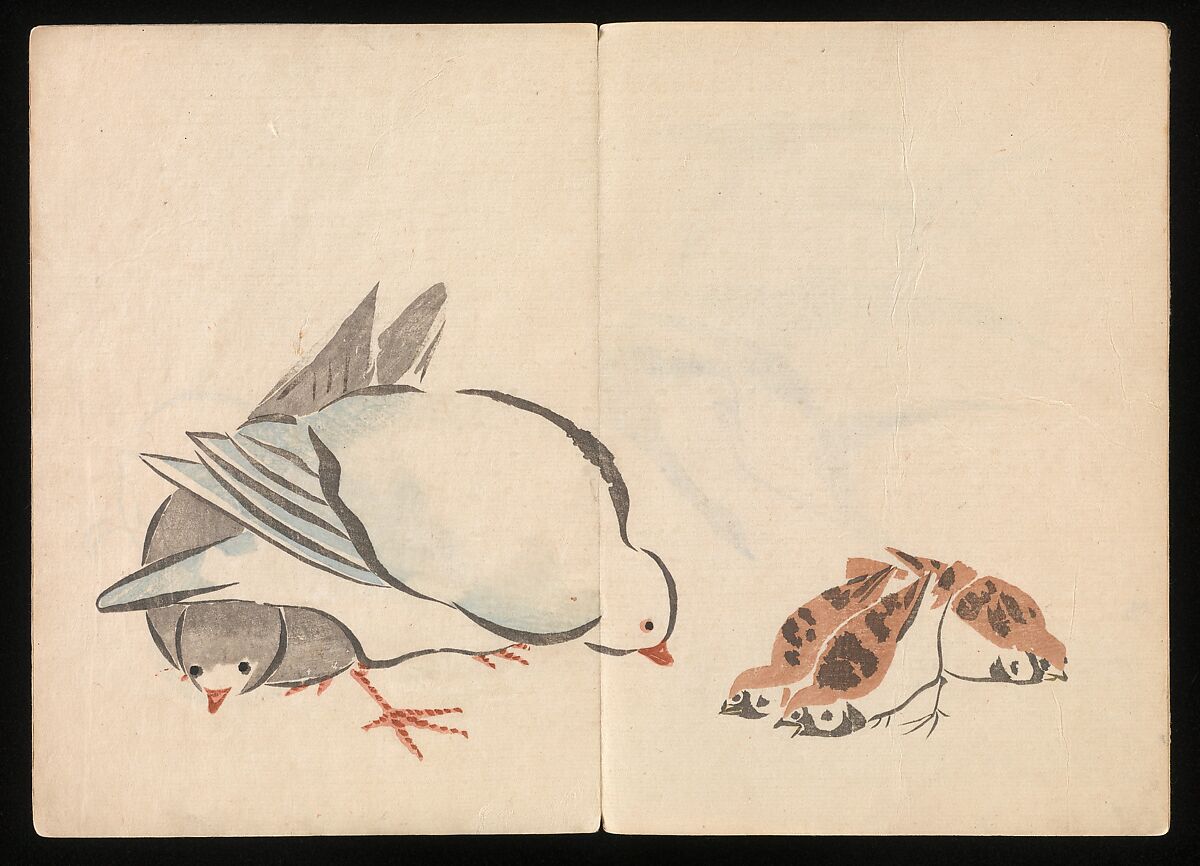 Kōrin Picture Album (Kōrin gafu) 光琳画譜, Nakamura Hōchū 中村芳中 (Japanese, died 1819), Woodblock printed book in two volumes (orihon, accordion-style); ink and color on paper, Japan